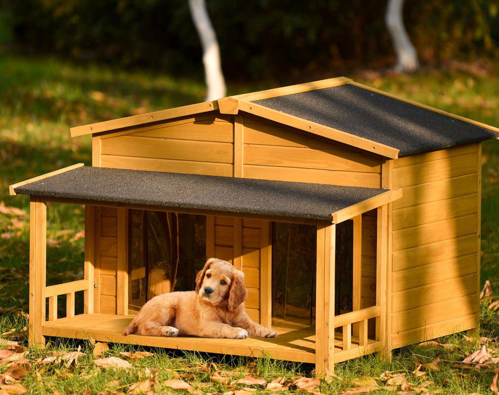 One Allium Way Outdoor & Indoor Dog Crate, Cabin Style, With Porch, 2 ...